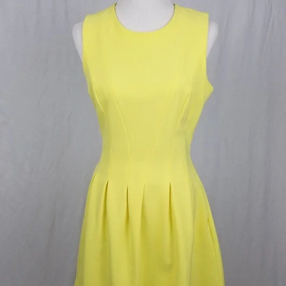 H&M Sunny Sleeveless Pleated Fit Skater Dress - Picture 5 of 15